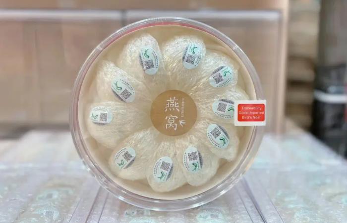 排浦镇燕窝回收